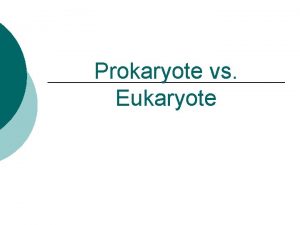 Prokaryote vs Eukaryote What is a Cell Cell