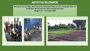 AKTIFITAS KELOMPOK Kelompok tani Aru Maju Desa Sewalima