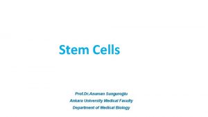 Stem Cells Prof Dr Asuman Sungurolu Ankara University