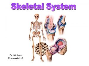 Dr Nichols Coronado HS phalangies metatarsals metatarsals phalangies