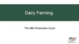 Dairy Farming The Milk Production Cycle Why cows