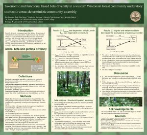 Taxonomic and functional based beta diversity in a