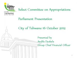 Select Committee on Appropriations Parliament Presentation City of