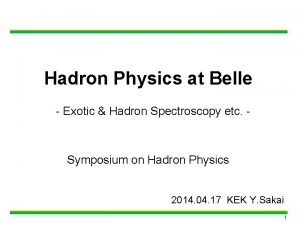 Hadron Physics at Belle Exotic Hadron Spectroscopy etc