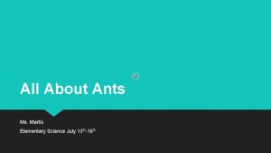 All About Ants Ms Martis Elementary Science July