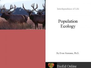 Interdependence of Life Population Ecology By Evan Siemann