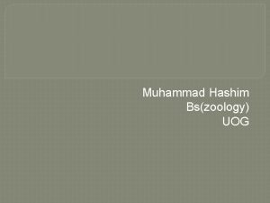 Muhammad Hashim Bszoology UOG Topic Mechanism of birds