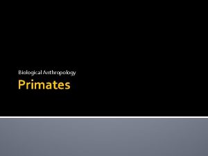 Biological Anthropology Primates Humans as Primates In order