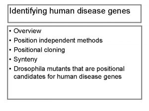 Identifying human disease genes Overview Position independent methods