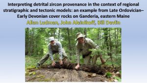 Interpreting detrital zircon provenance in the context of