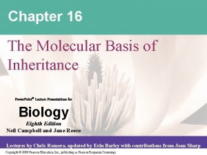 Chapter 16 The Molecular Basis of Inheritance Power