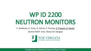 WP ID 2200 NEUTRON MONITORS C Andreani G