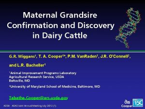 Maternal Grandsire Confirmation and Discovery in Dairy Cattle