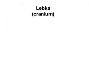 Lebka cranium I Neurocranium pouzdro kolem mozku a