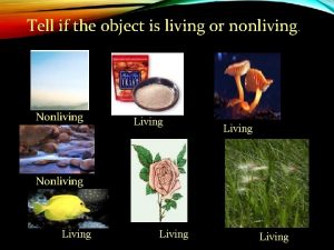 Tell if the object is living or nonliving