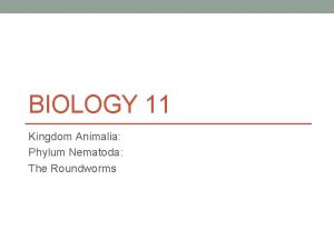 BIOLOGY 11 Kingdom Animalia Phylum Nematoda The Roundworms