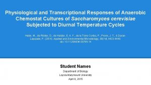 Physiological and Transcriptional Responses of Anaerobic Chemostat Cultures
