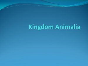 Kingdom Animalia Kingdom Animalia Invertebrates no backbone Vertebrates