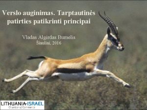 Verslo auginimas Tarptautins patirties patikrinti principai Vladas Algirdas