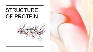 STRUCTURE OF PROTEIN PROTEIN Proteins are major components