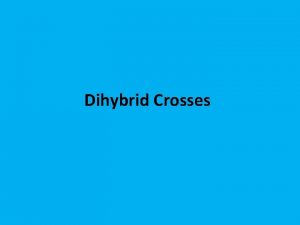 Dihybrid Crosses A monohybrid cross involves only one