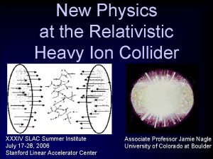 New Physics at the Relativistic Heavy Ion Collider