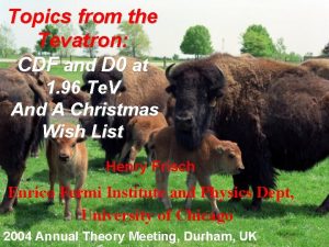 Topics from the Tevatron CDF and D 0