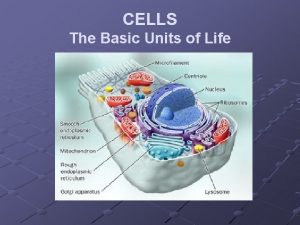 CELLS The Basic Units of Life Cells Basic