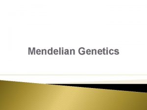 Mendelian Genetics Genetics is the study of heredity