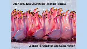 2017 2021 NABCI Strategic Planning Process Pedro Szekely