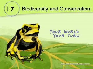 CHAPTER 7 Biodiversity and Conservation Saving the Siberian