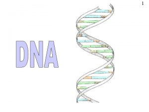 1 DNA 2 DNA stands for deoxyribose nucleic