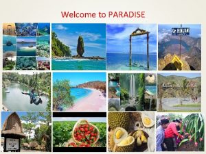 Welcome to PARADISE IPD SEMESTER 6 JOB DESCRIPTION