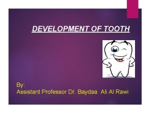 DEVELOPMENT OF TOOTH By Assistant Professor Dr Baydaa