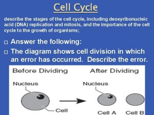 Cell Cycle describe the stages of the cell