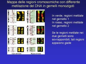 Mappa delle regioni cromosomiche con differente metilazione del