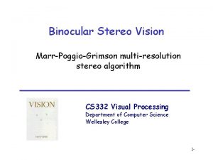 Binocular Stereo Vision MarrPoggioGrimson multiresolution stereo algorithm CS