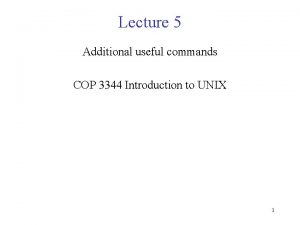 Lecture 5 Additional useful commands COP 3344 Introduction