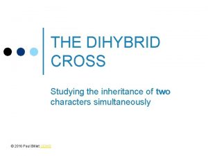 THE DIHYBRID CROSS Studying the inheritance of two