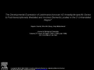 The Developmental Expression of Leishmania donovani A 2