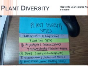 PLANT DIVERSITY Copy into your colored Not Foldable