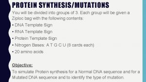 PROTEIN SYNTHESISMUTATIONS You will be divided into groups