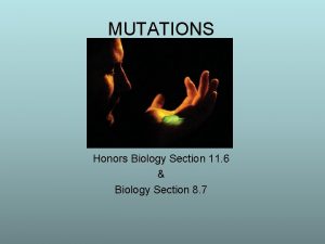 MUTATIONS Honors Biology Section 11 6 Biology Section
