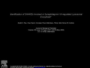 Identification of SNAREs Involved in Synaptotagmin VIIregulated Lysosomal