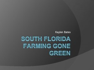 Kaylen Bates SOUTH FLORIDA FARMING GONE GREEN South