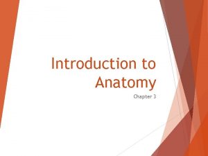Introduction to Anatomy Chapter 3 ANATOMICAL POSITION 3
