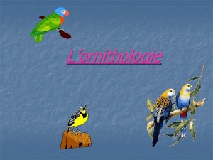 Lornithologie Lornithologie Quest ce que cest Lornithologie est