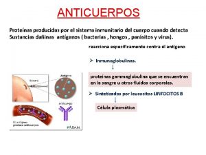 ANTICUERPOS Protenas producidas por el sistema inmunitario del