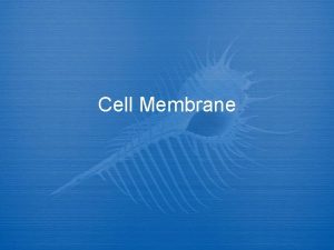 Cell Membrane Functions of Cell Membrane communication via