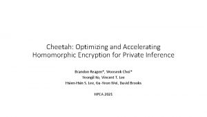 Cheetah Optimizing and Accelerating Homomorphic Encryption for Private